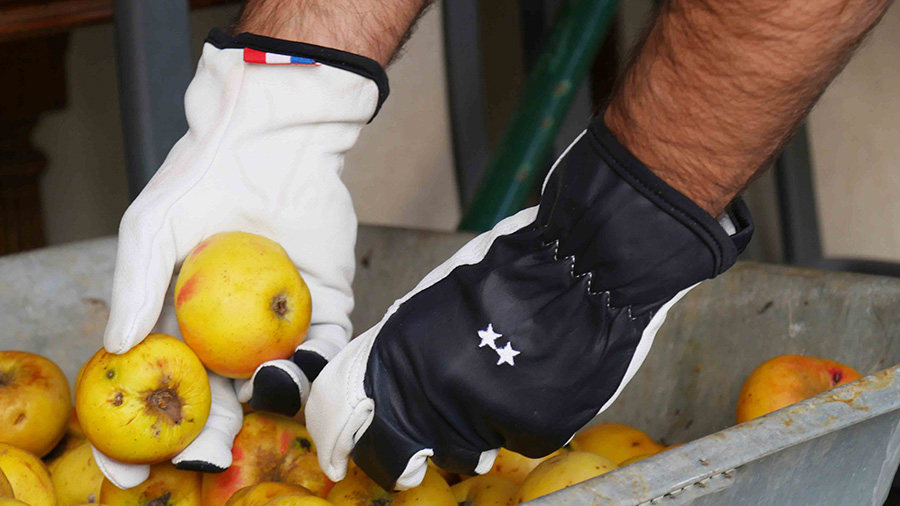 Gants de protection Rostaing Frenchie-I Gants de protection Rostaing Frenchie-I